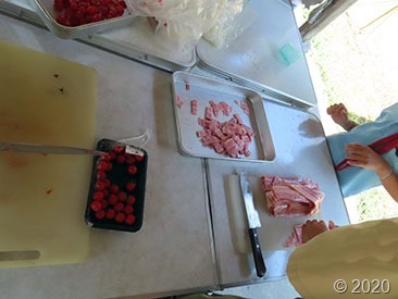 IMG_4455