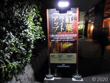 DSCN1322