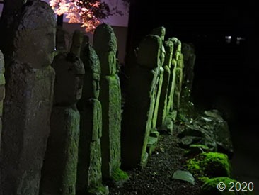 DSCN1337