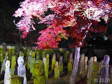 DSCN1342