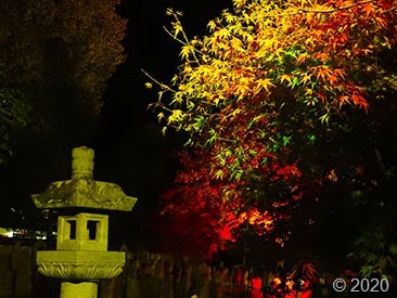 DSCN1344