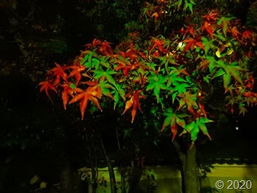 DSCN1348