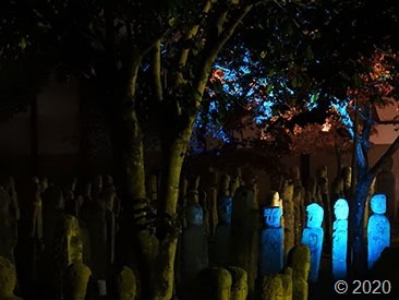 DSCN1356