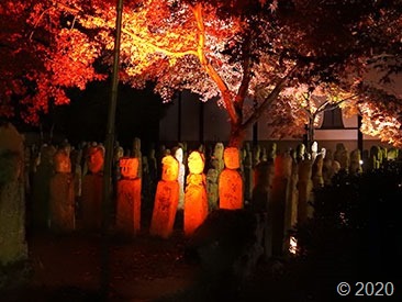 DSCN1357