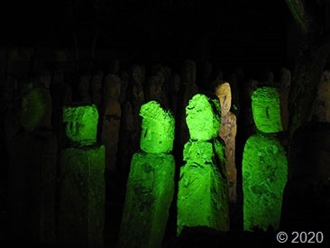 DSCN1358