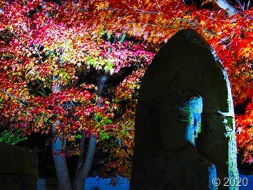 DSCN1367