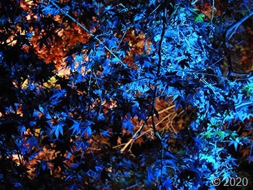 DSCN1369