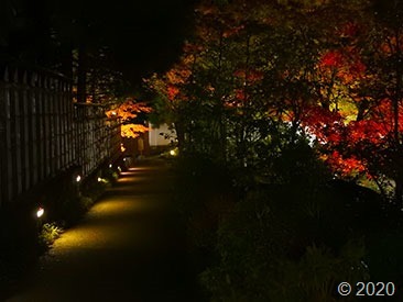 DSCN1403