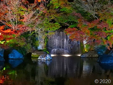 DSCN1426