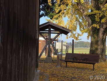 IMG_4552 IMG_4552