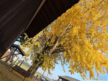 IMG_4553 IMG_4553