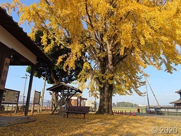IMG_4556 IMG_4556