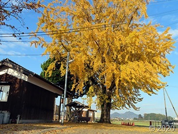 IMG_4562 IMG_4562