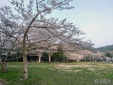 DSC_00061 DSC_00061