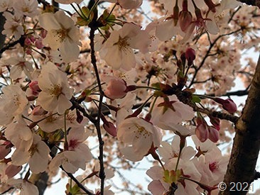 DSC_0015 DSC_0015