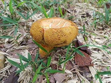 IMG_20210717_112601