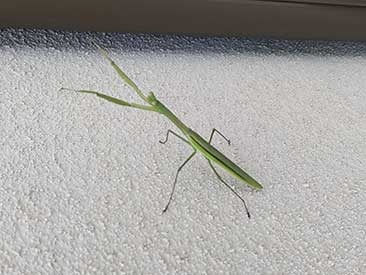 IMG_20210904_122853