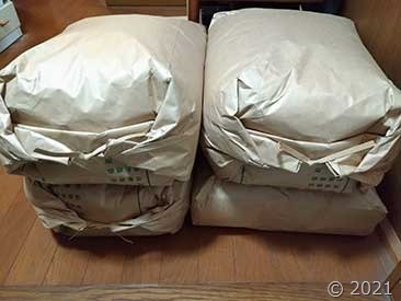 P_20191106_203407_vHDR_Auto
