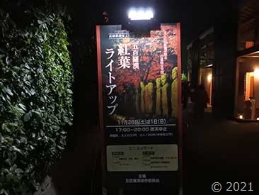 DSCN1635