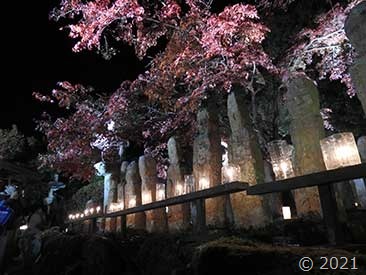 DSCN1648 DSCN1648
