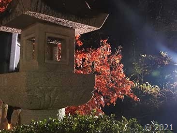DSCN1653 DSCN1653