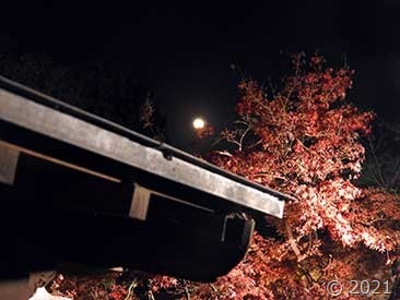 DSCN1660 DSCN1660