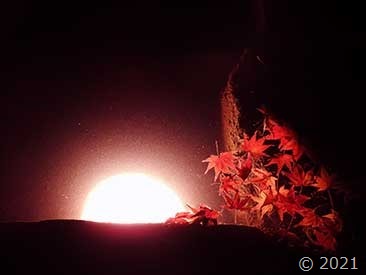 DSCN1698