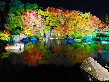 DSCN1745