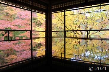 IMG_2824