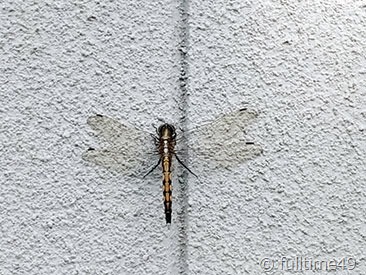 IMG_20220612_173042