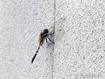 IMG_20220612_173048