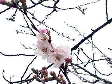 IMG_20230324_170423