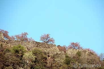 IMG_3695