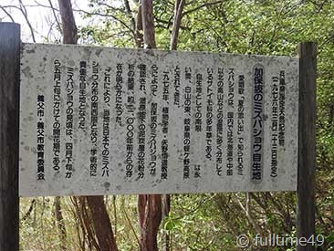 DSCN1956