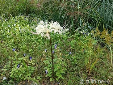 IMG_20230930_133252