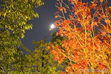 IMG_3942 IMG_3942