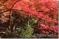 IMG_4062 IMG_4062
