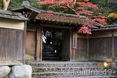 IMG_4151 IMG_4151