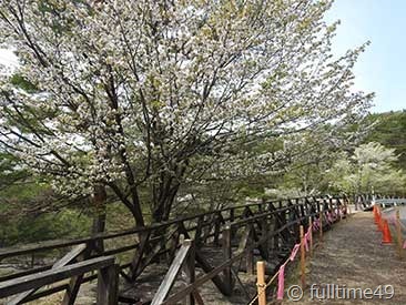 DSCN2070