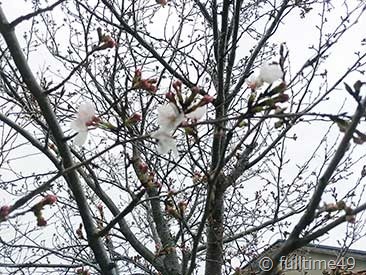 IMG_20240402_170757