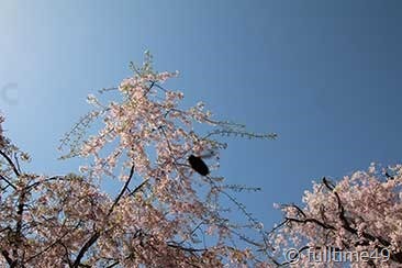 IMG_4649
