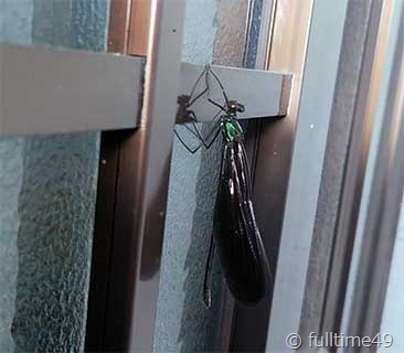 IMG_20240529_182434