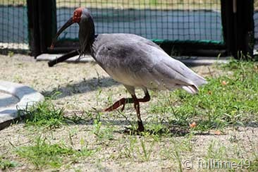 IMG_4890