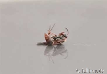 IMG_20240721_163922