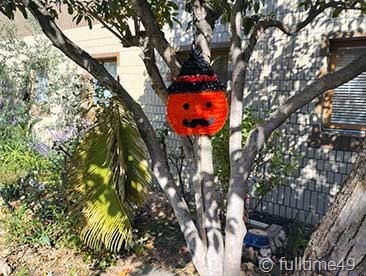 IMG_20241020_135050