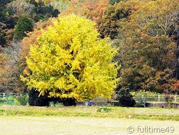 DSCN2140