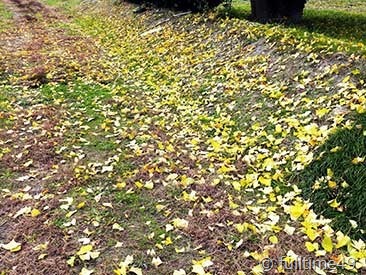 DSCN2144