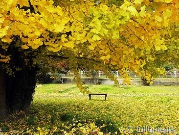 DSCN2146
