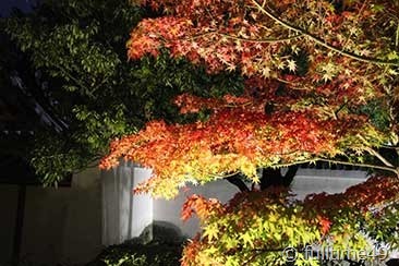 IMG_5127 IMG_5127