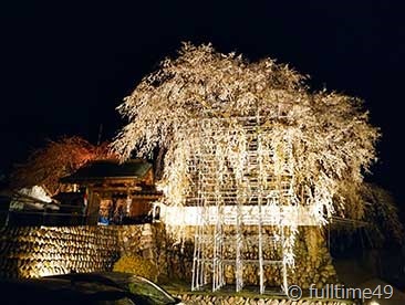 IMG_20250404_201653